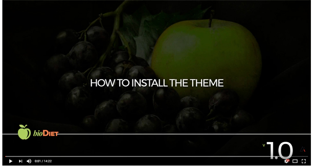 BioDiet - Nutrition & Weight Loss WordPress Theme - 1  - biodiet install -