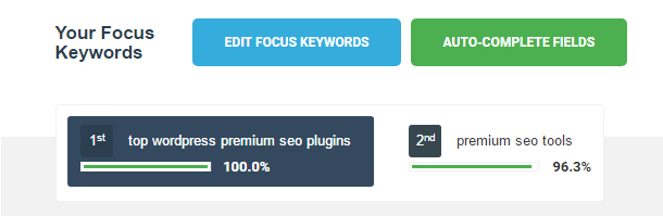 Pacote SEO Premium – Plugin WordPress - 5